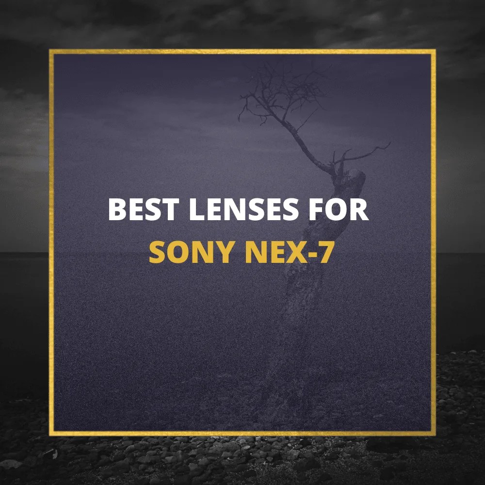 📸 5 MUSTOWN Lenses For Sony NEX 7 In 2024 (Guide)