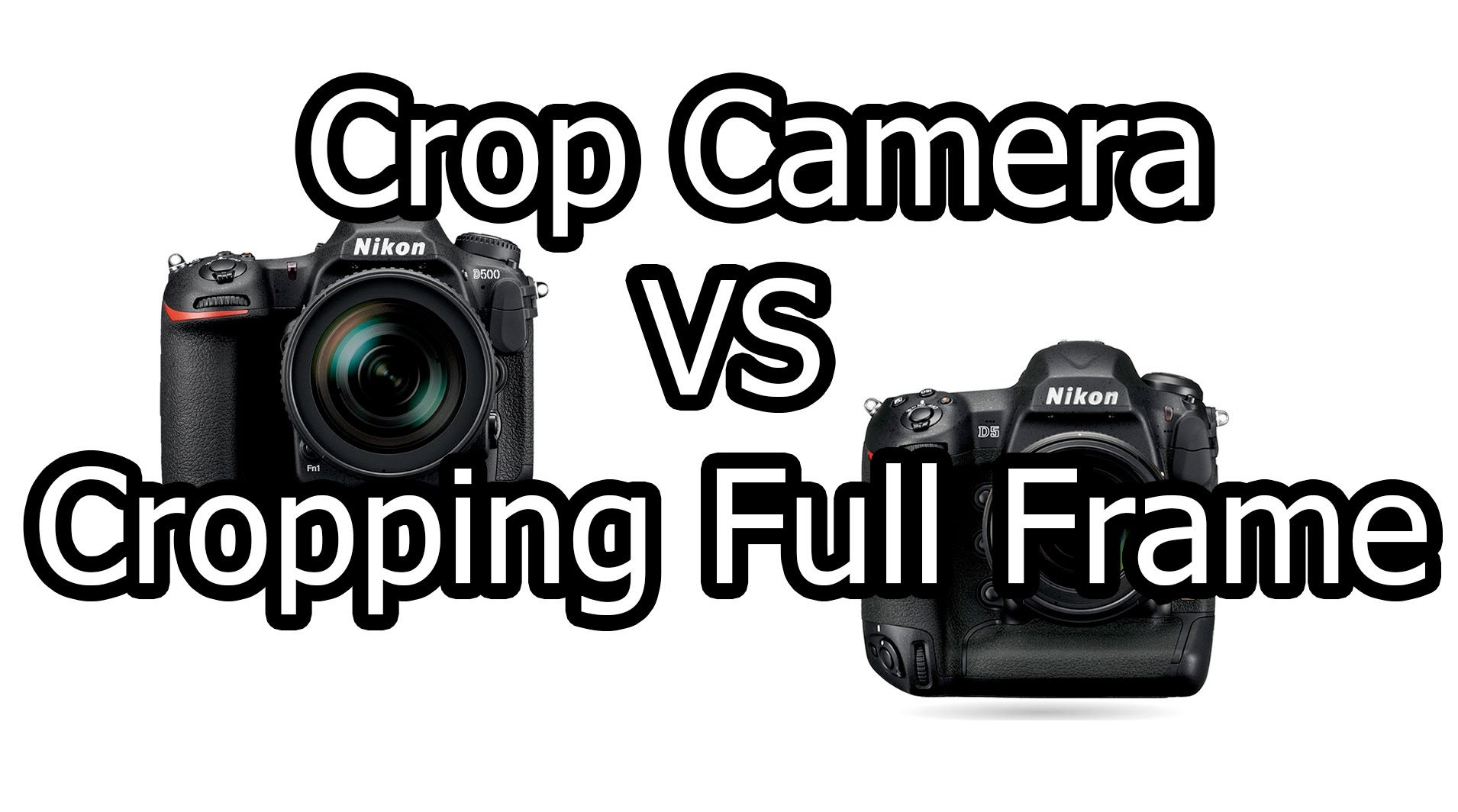 Which Is Better Crop Camera Vs. Cropping Full Frame