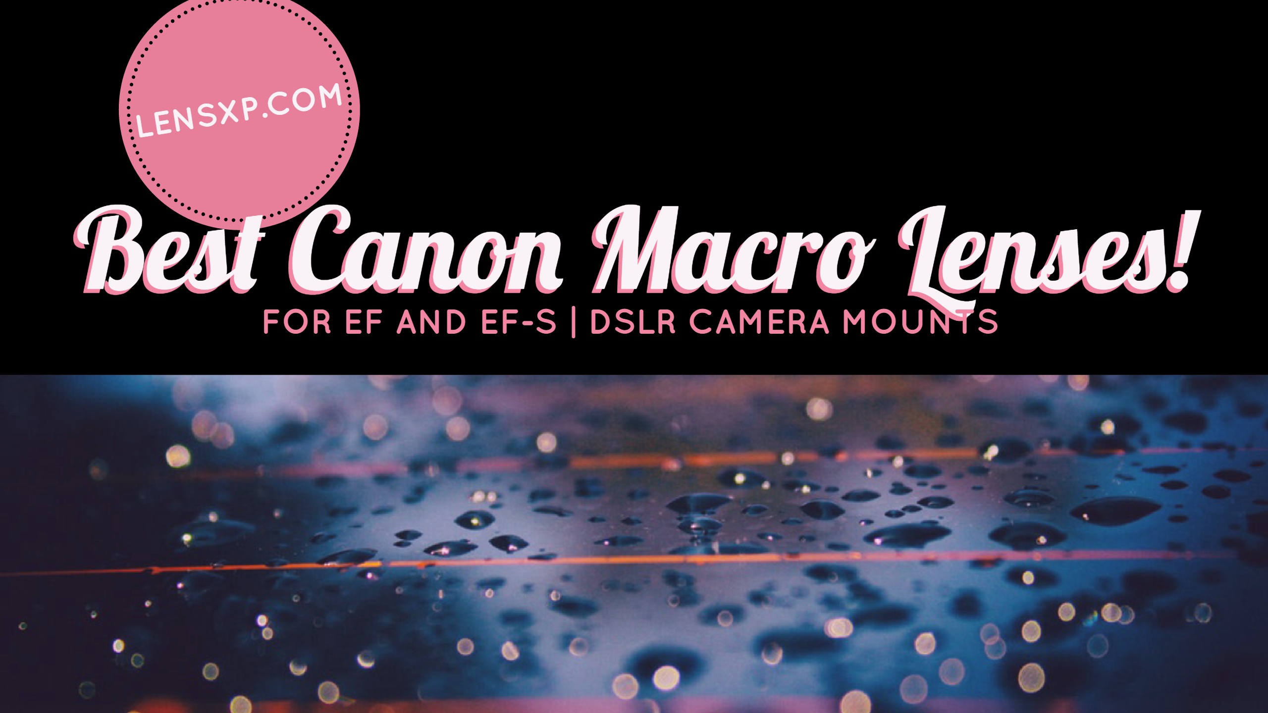 Best Canon Macro Lenses for EF and EFS DSLR Camera Mounts