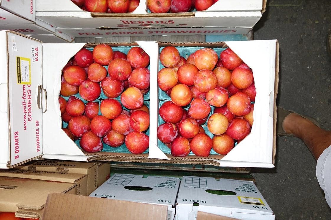 Photos at Leola Produce Auction