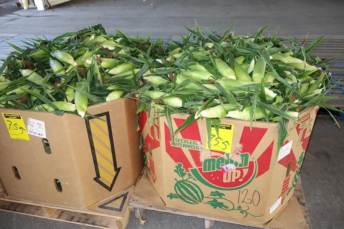 Photos at Leola Produce Auction