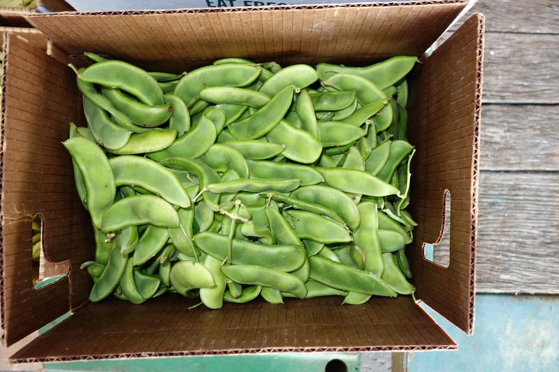 Photos at Leola Produce Auction