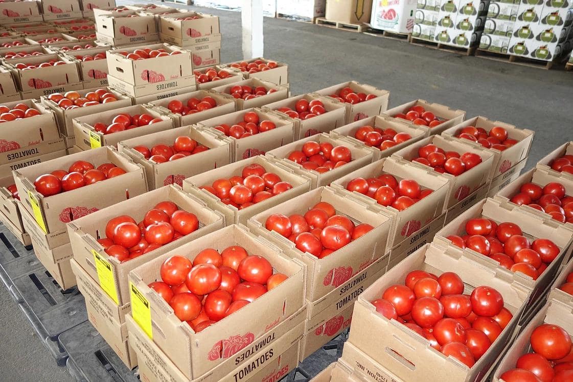 Photos at Leola Produce Auction