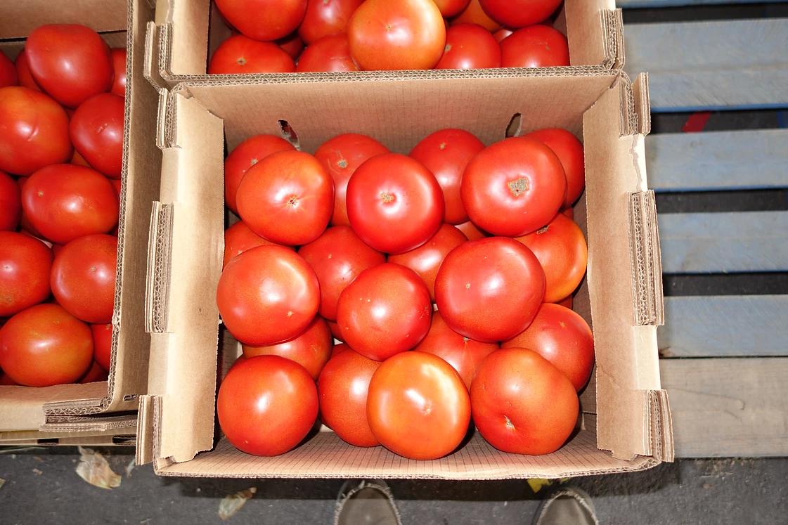 Photos at Leola Produce Auction