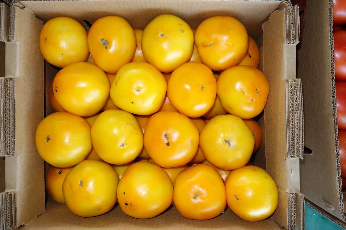 Photos at Leola Produce Auction