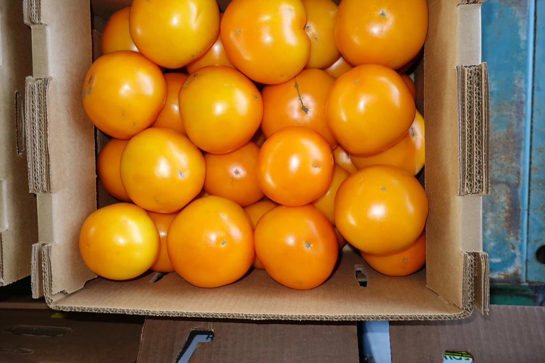 Photos at Leola Produce Auction