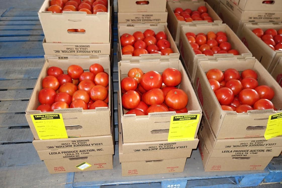 Photos at Leola Produce Auction