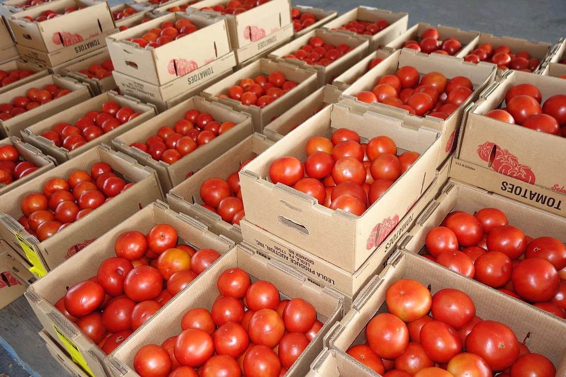 Photos at Leola Produce Auction