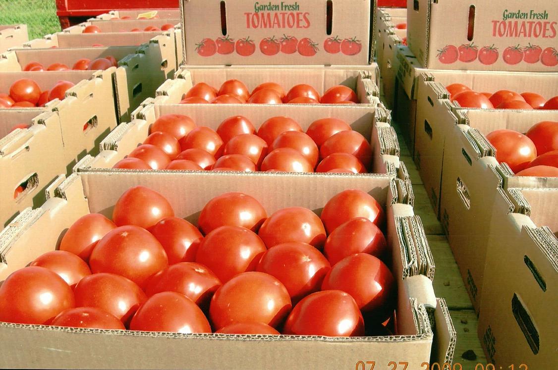 About Leola Produce Auction