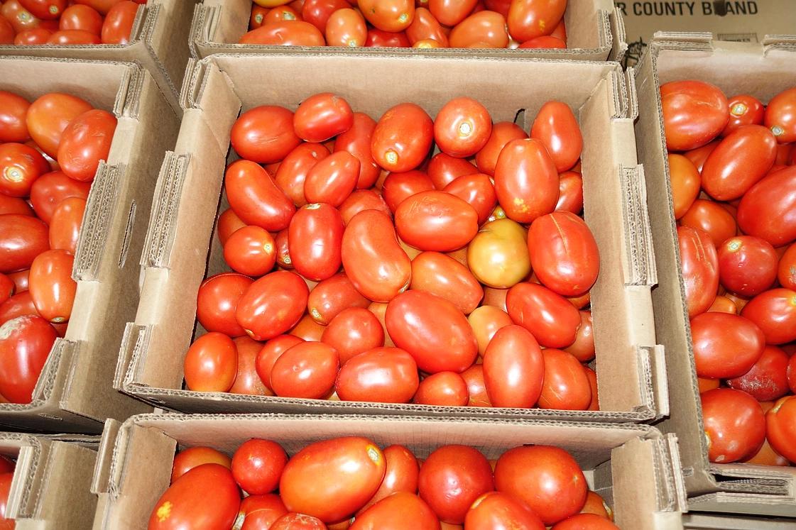Photos at Leola Produce Auction