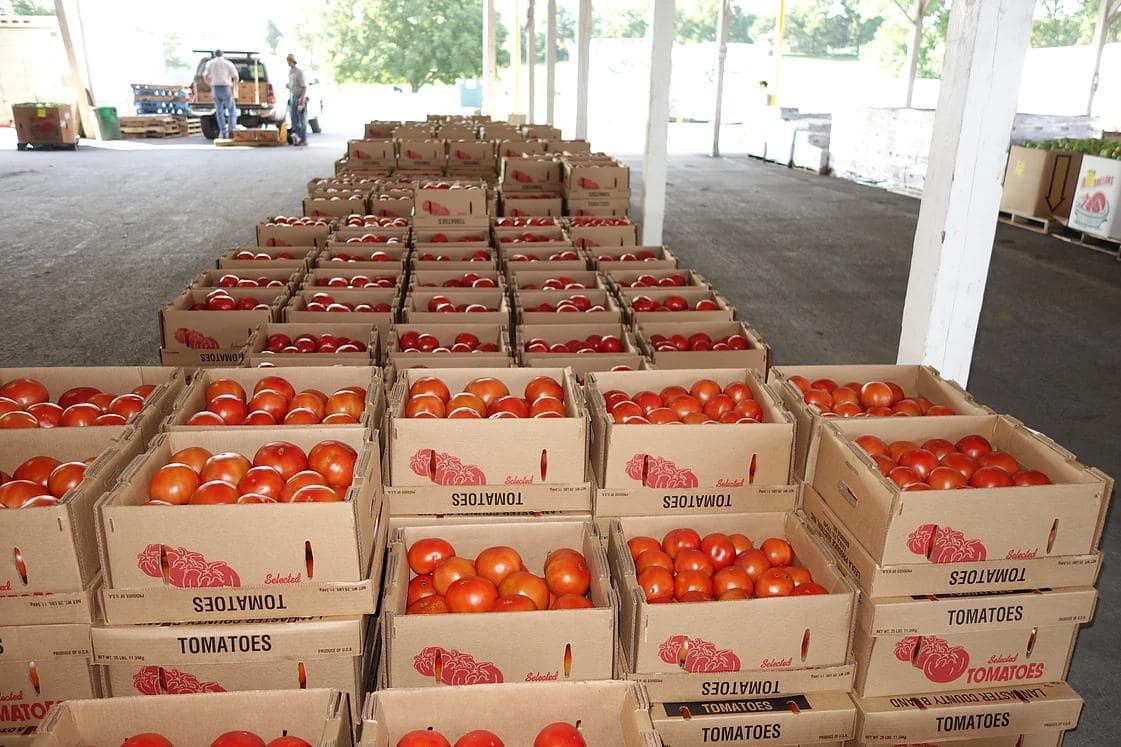 Photos at Leola Produce Auction