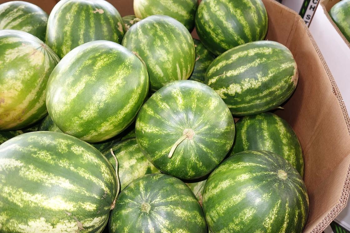 Photos at Leola Produce Auction