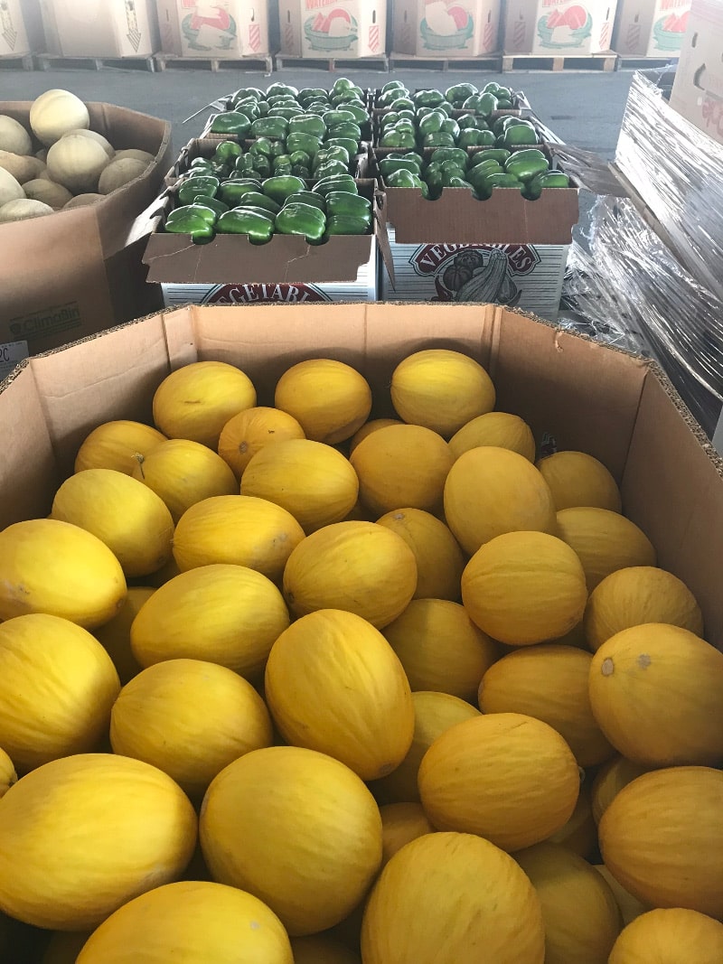 Photos at Leola Produce Auction