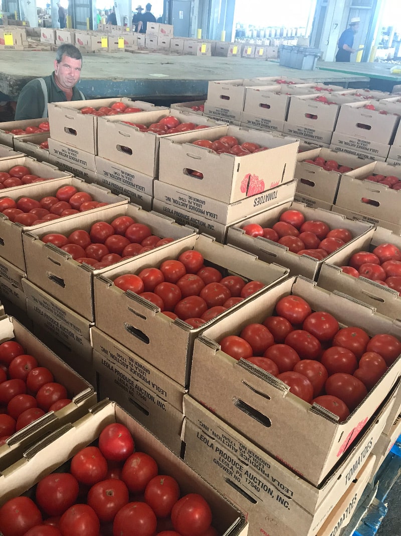 Photos at Leola Produce Auction