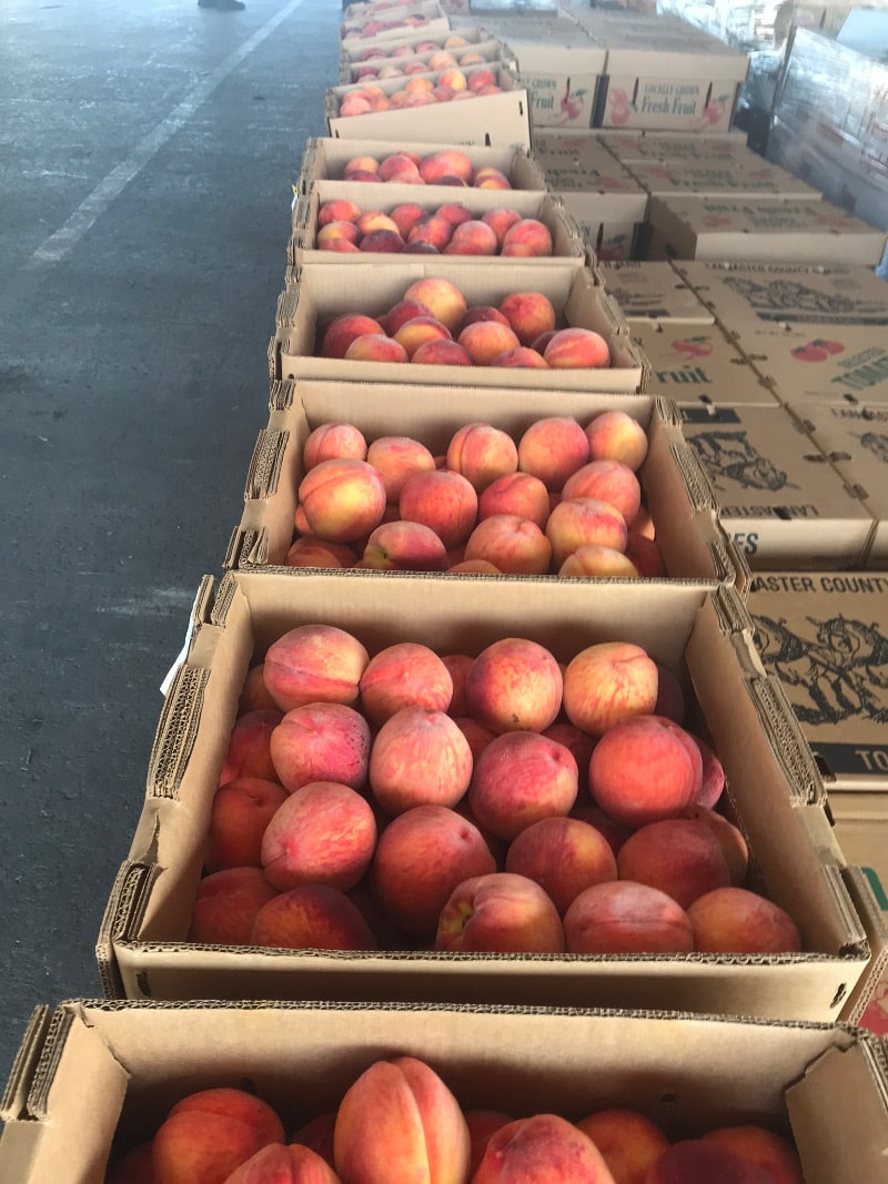 Photos at Leola Produce Auction