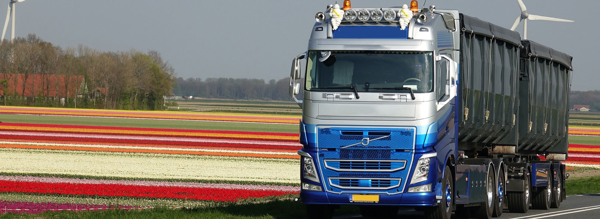 LEON OIL Change for the Better