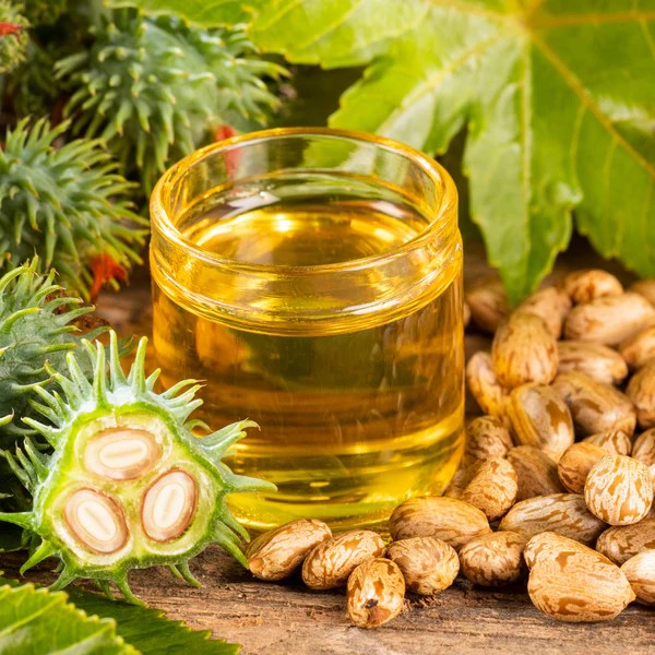 Castor Oil A Timeless Elixir for Your Body's Wellness LeonicaCosmetics