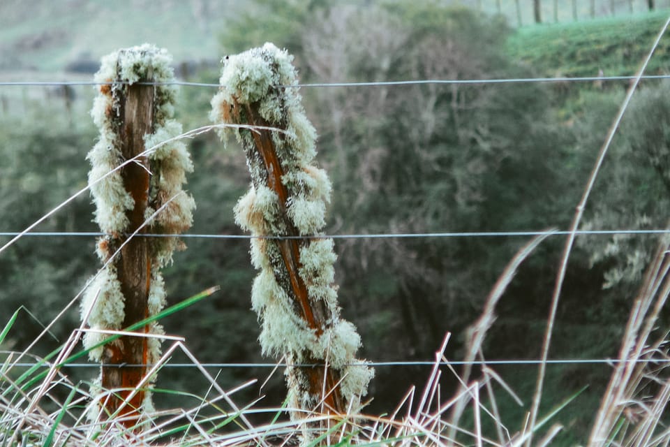 iphone double exposures using blender & vsco