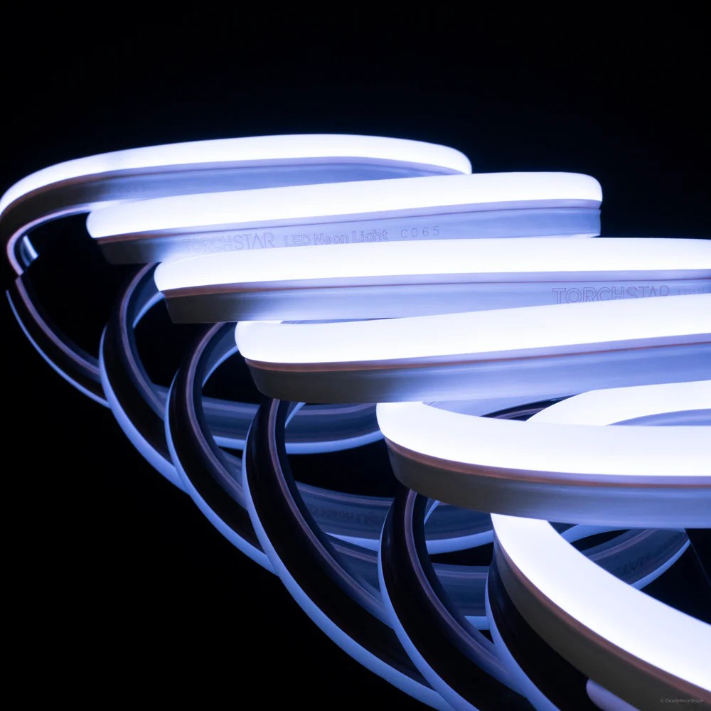 LeonLite® Pro Neon Rope Light RGB