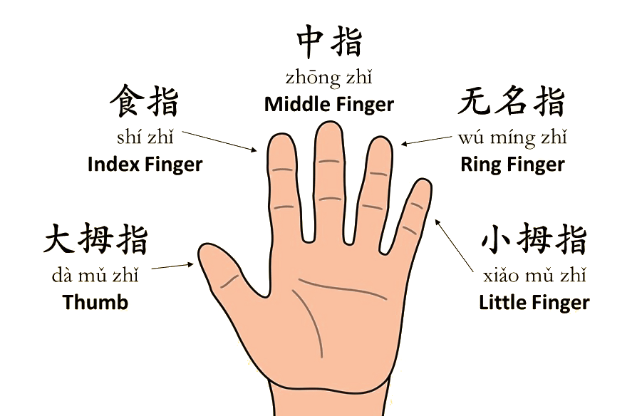 Aggregate more than 152 finger ring images best netgroup.edu.vn