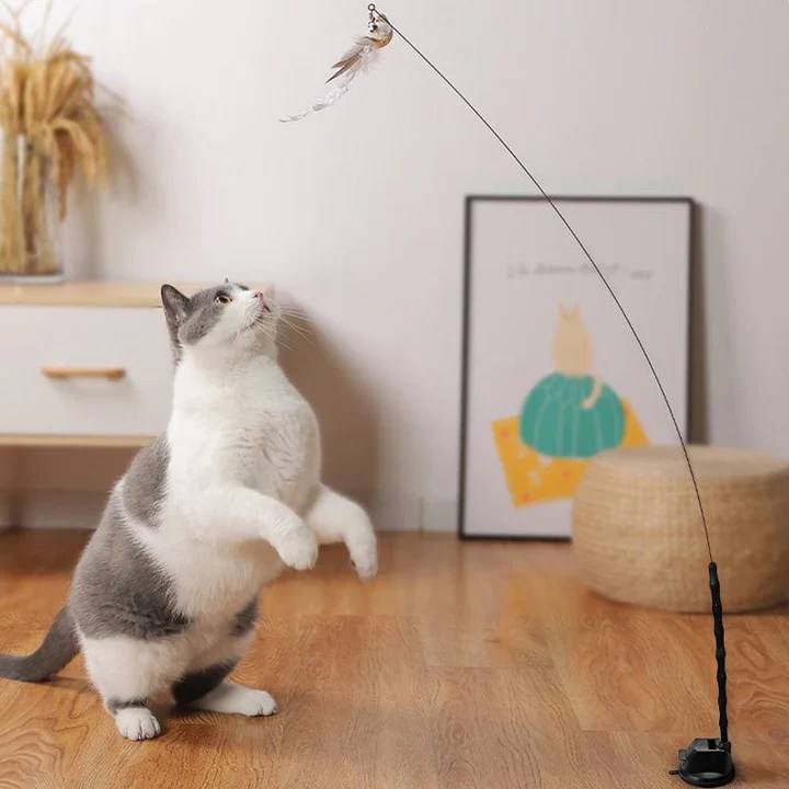 16 of the Best Cat Toys for Bored Cats Leos paw