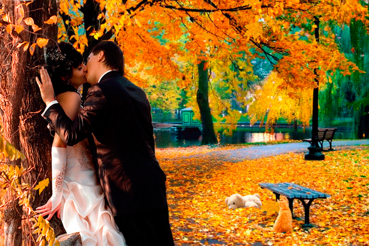 GIF COUPLE