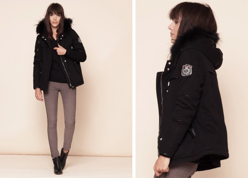 Les coups de coeur de la semaine