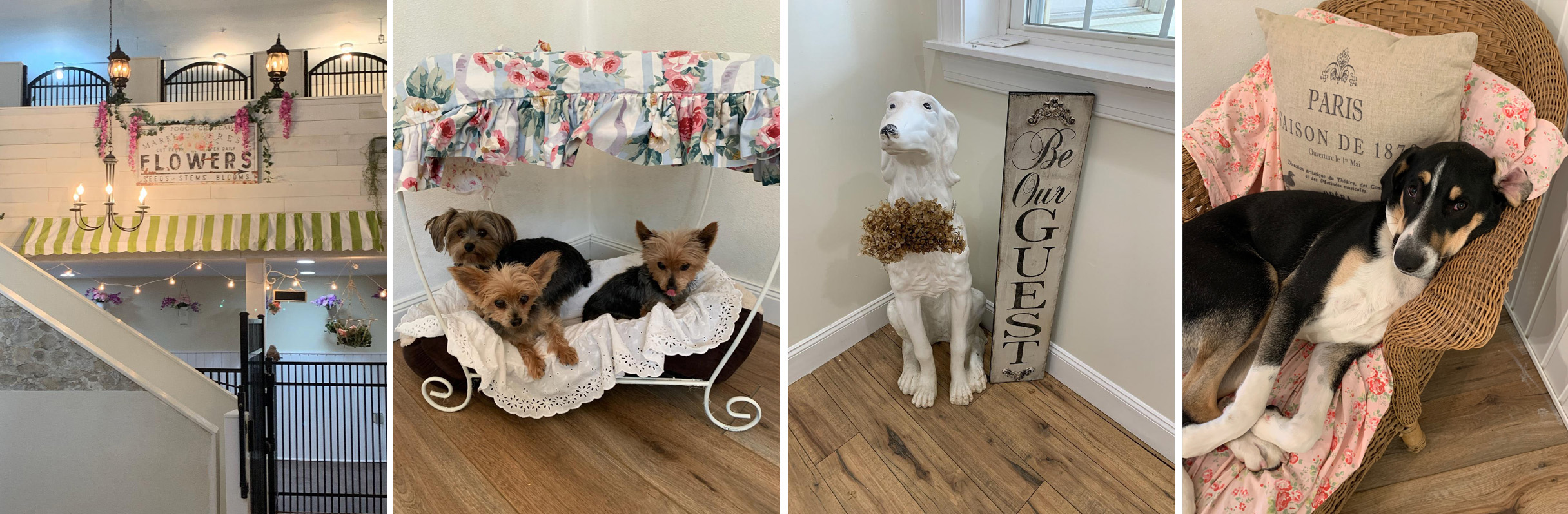 Le Pooch Chateau Boarding and Daycare