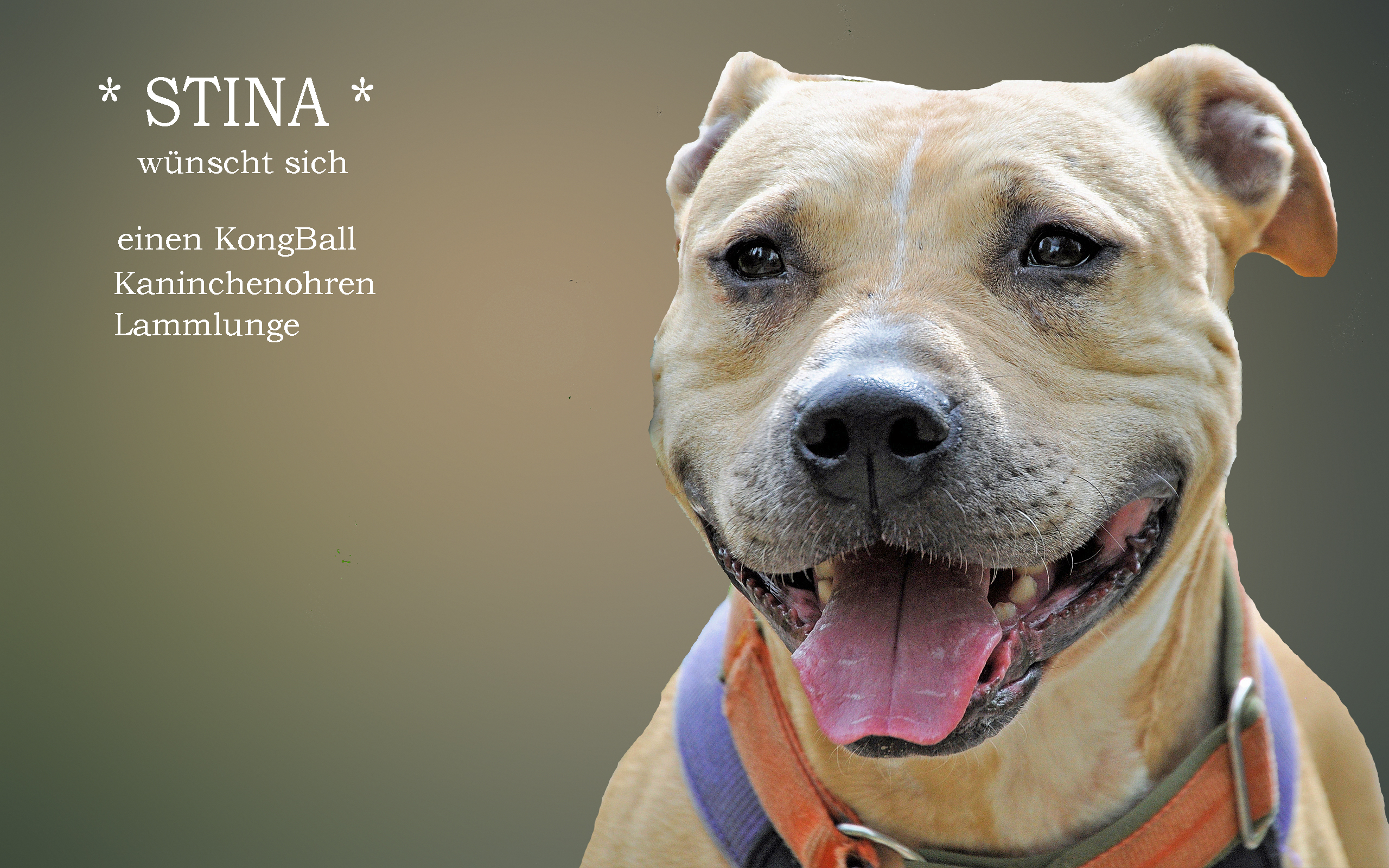 Osterwichteln Wunschzettel der Hunde Leroy und Melody