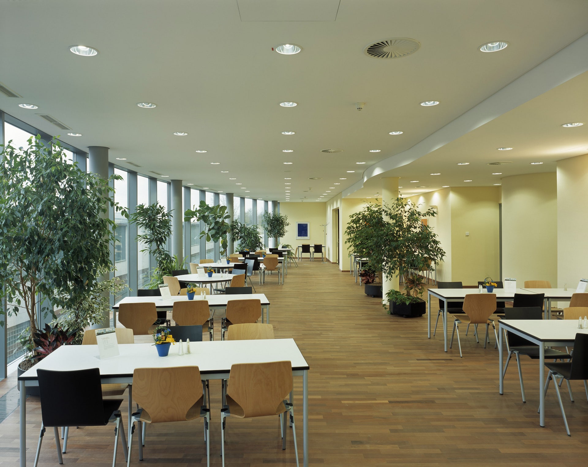 LES3 Frankfurt am Main