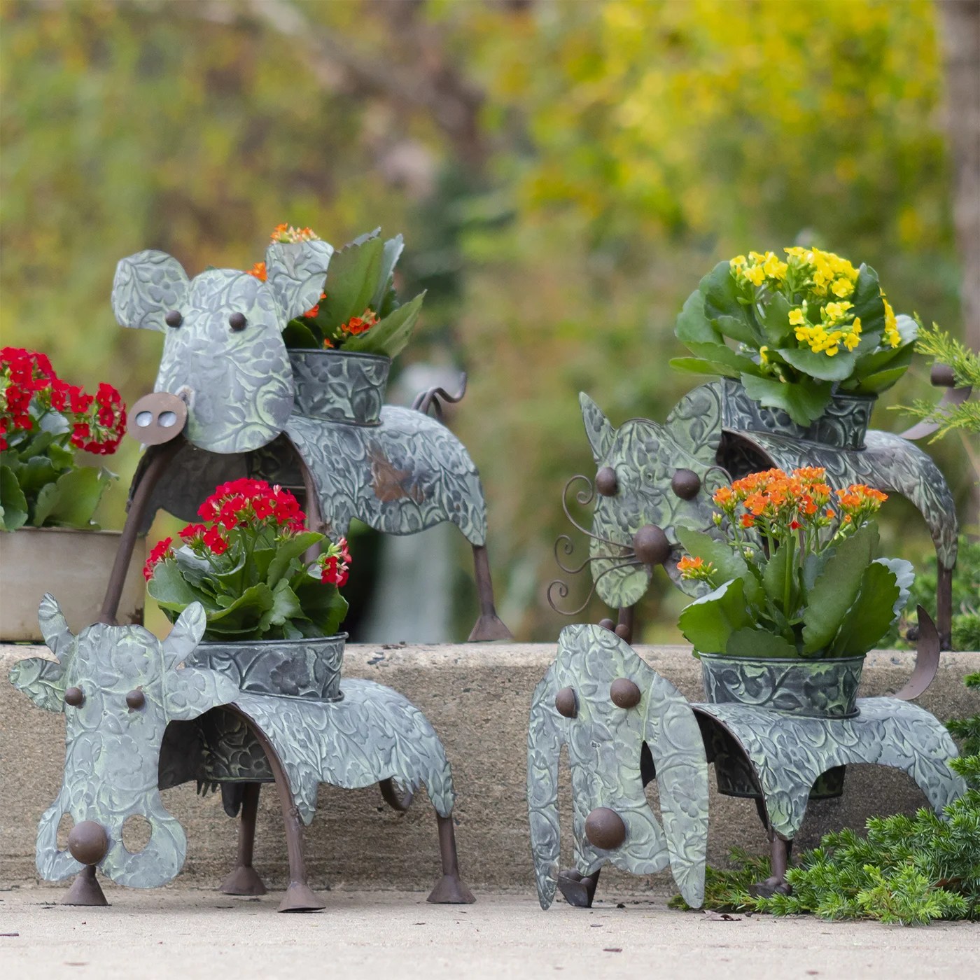 Set of 4 Galvanized Animal Planters Lesera