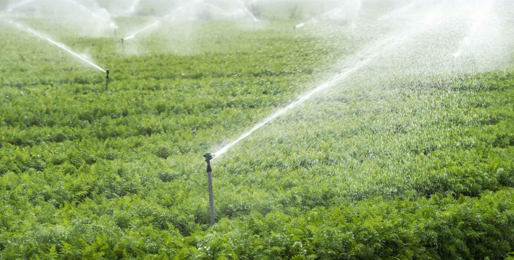 Telaqua, une solution connectée pour l'irrigation • Les Horizons