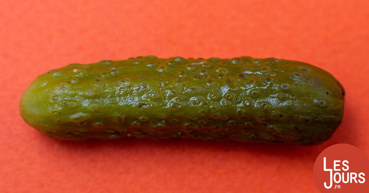 Du made in France venu d’Inde ? Bougre de cornichon