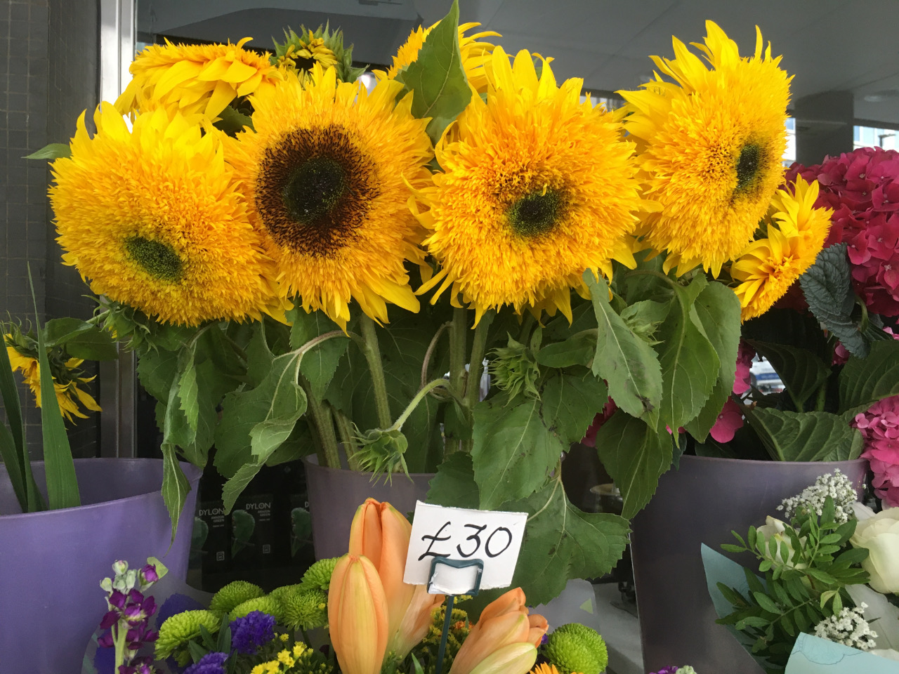 Sunflowers For Sale 3 free verse poems + a haiku Lesley