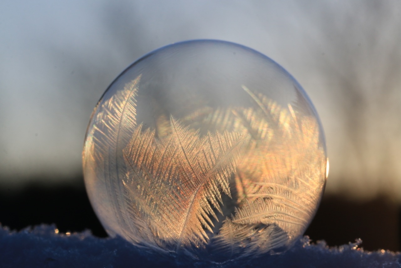 How to Make an Ice Bubble Leslie Abram Photography