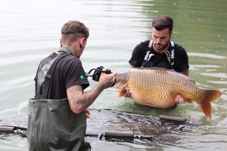 Lesmont Fishing Lake Europes Best Carp Fishing