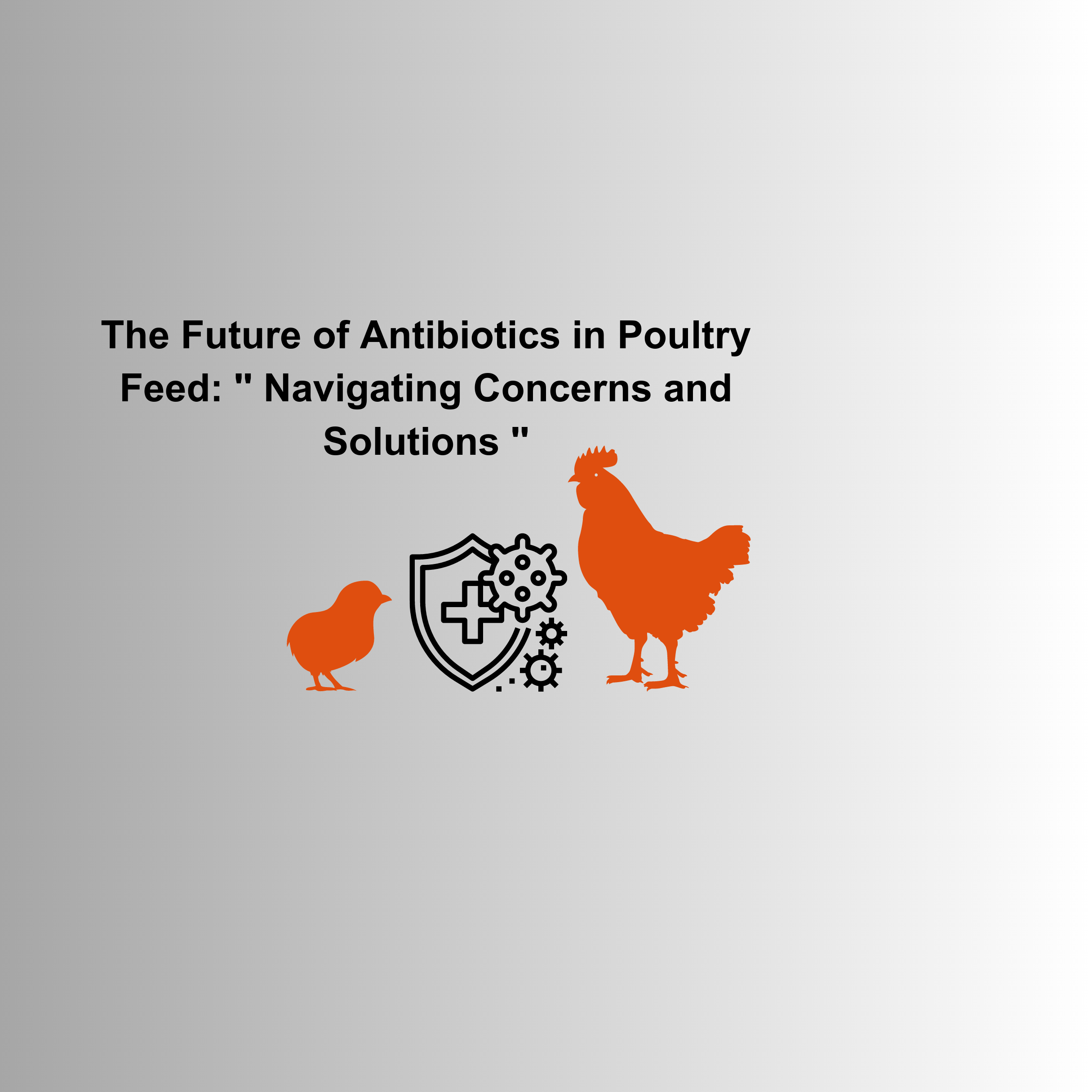 The Future of Antibiotics in Poultry Feed • Less Antibiotics by XVET GmbH