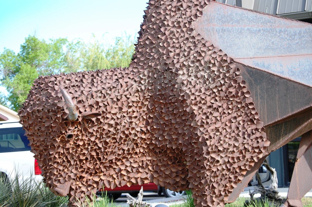 Eastern Wyoming to Yellowstone Cowboy Country, Buffaloes and more