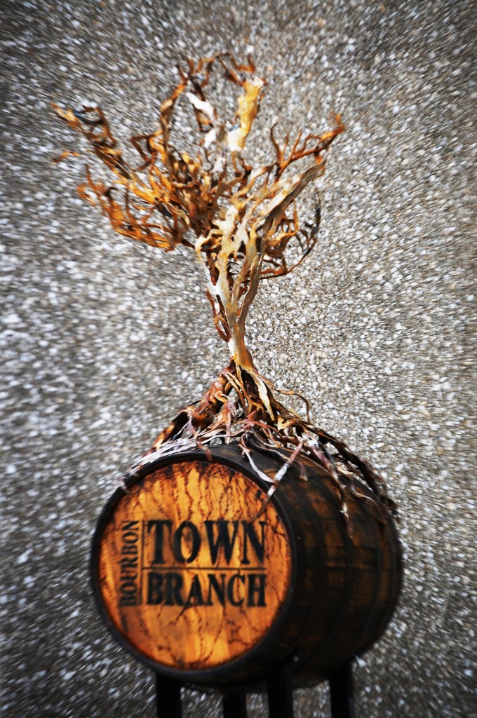 The Bourbon Barrel Project on Town Branch Lexington, KY Less Beaten