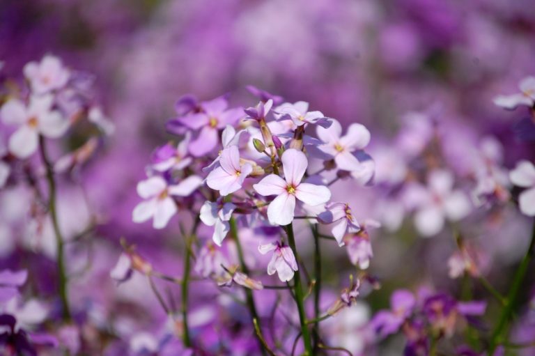 Finding Prosperity near Canonsburg & Washington, PA Less Beaten Paths