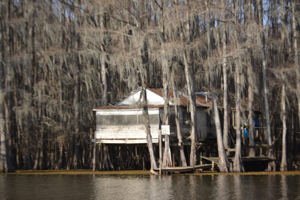 Uncertain Revisited A Tour of Caddo Lake Less Beaten Paths of