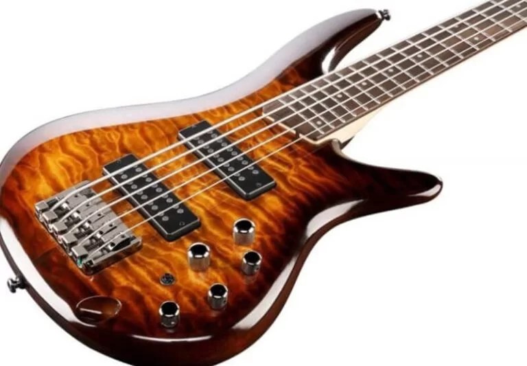 Top 14 Best 5 String Bass Under 1000 Dollars LessConf