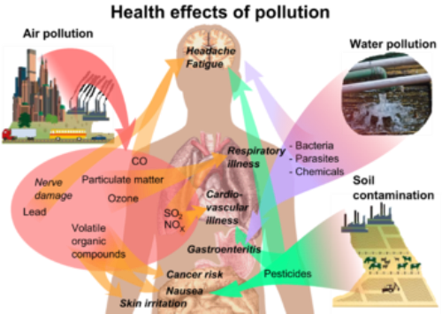 10 Facts about Land Pollution Less Known Facts