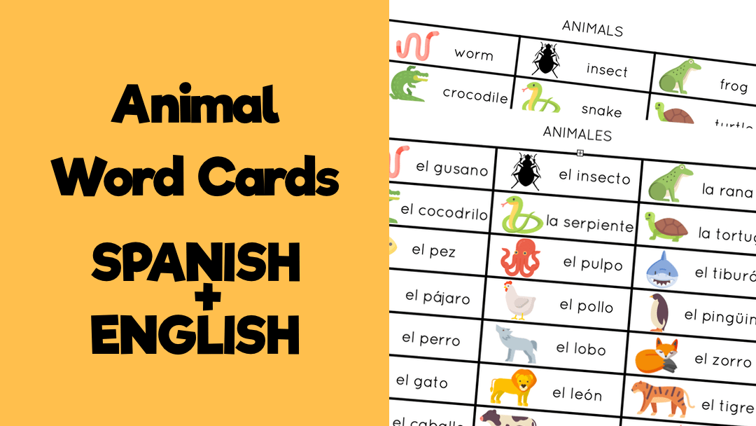 Animal Word Cards Lesson Plan Source