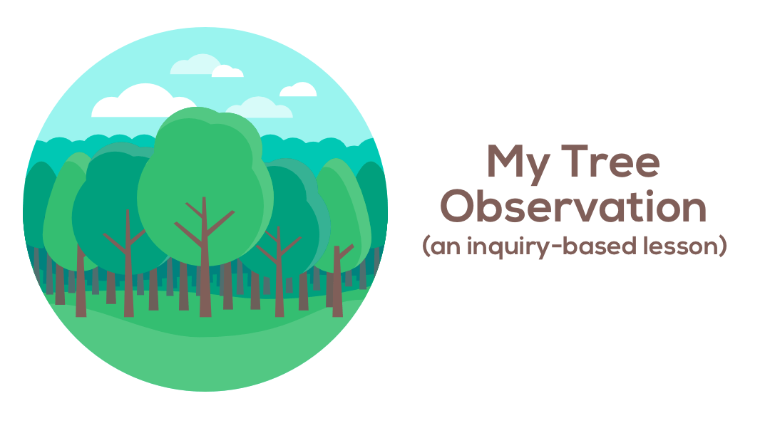 Tree Observation Lesson Plan Source
