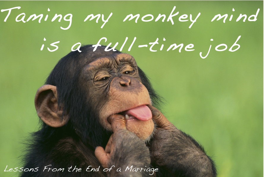 Monkey Mind Lessons From the End of a Marriage Monkey Mind Lessons From the End of a Marriage