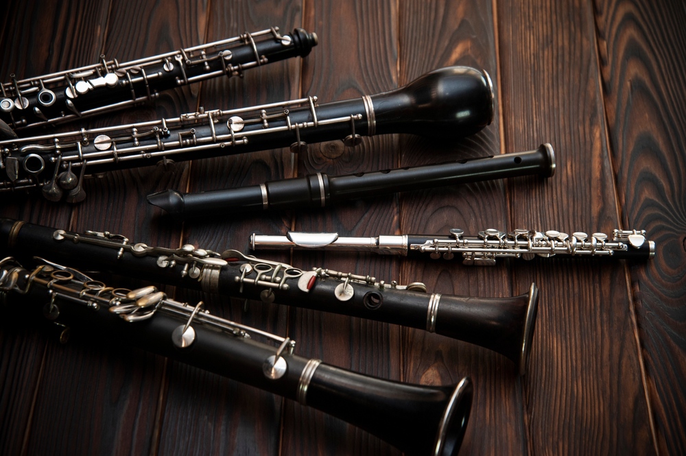 Useful Accessories for Woodwind Instruments Lessons In Your Home