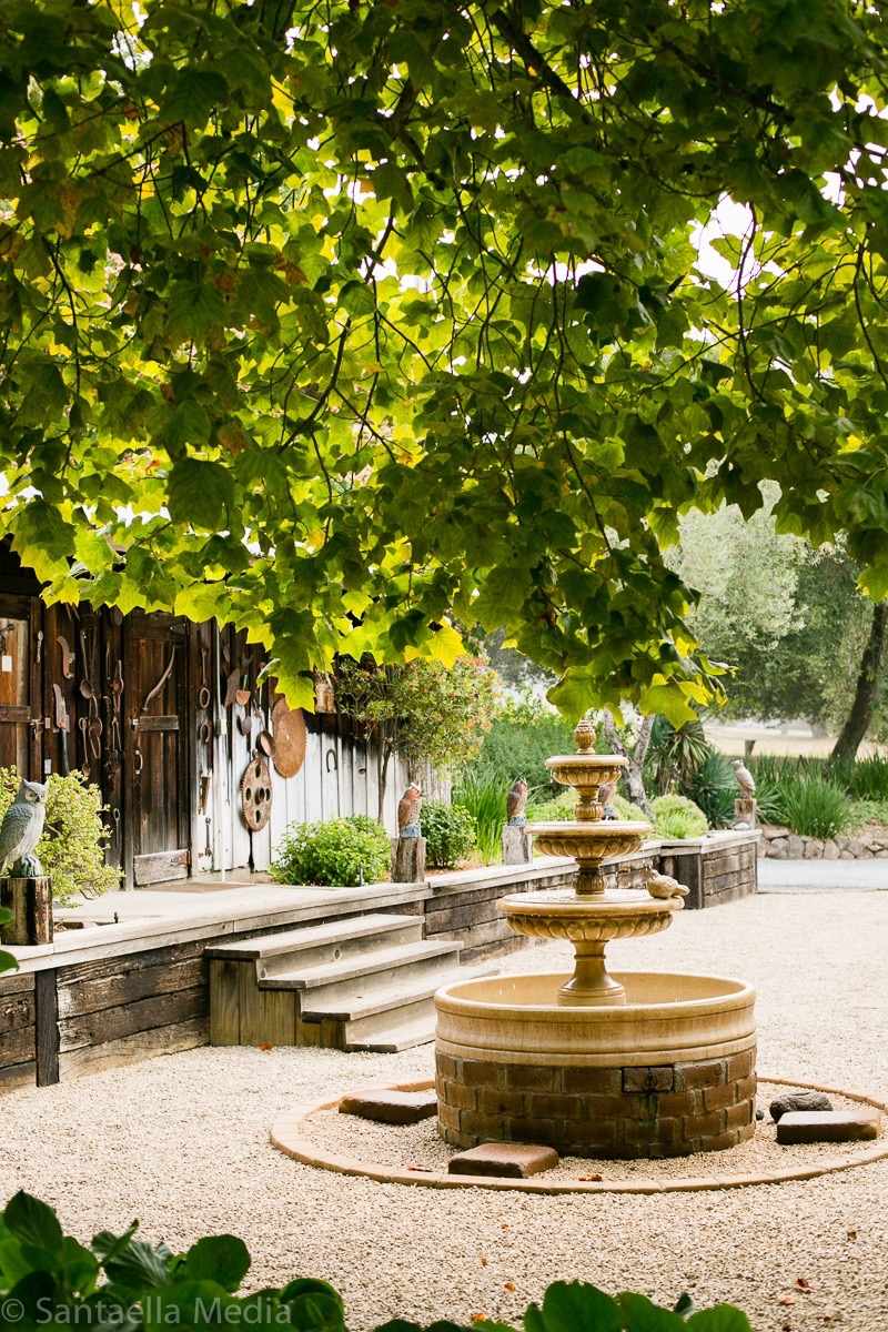 Visit Lester Estate Wines