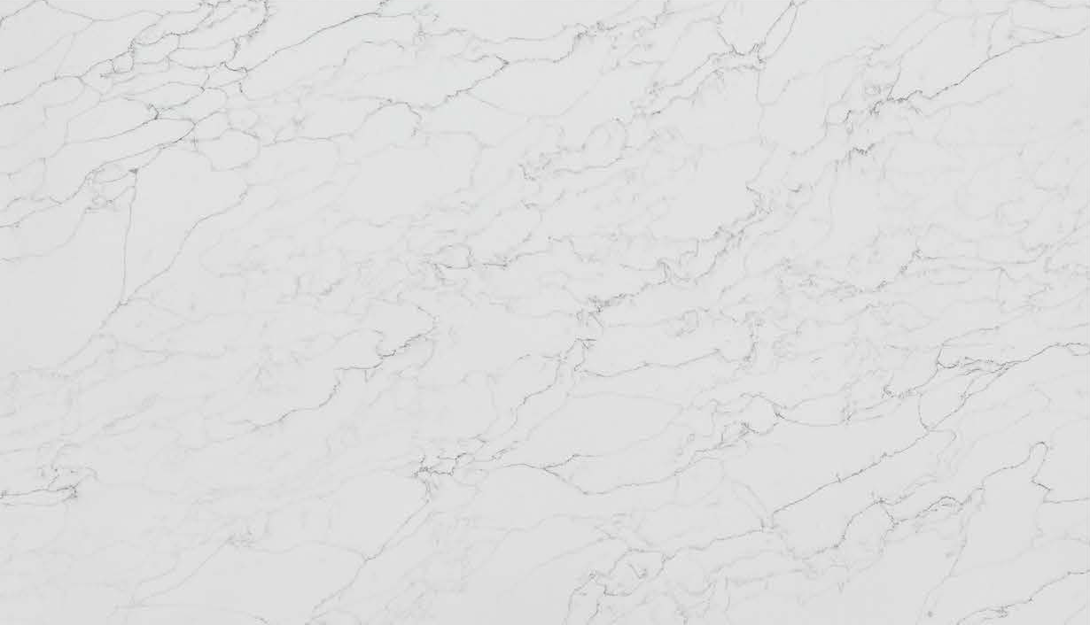 Mont Surfaces Quartz