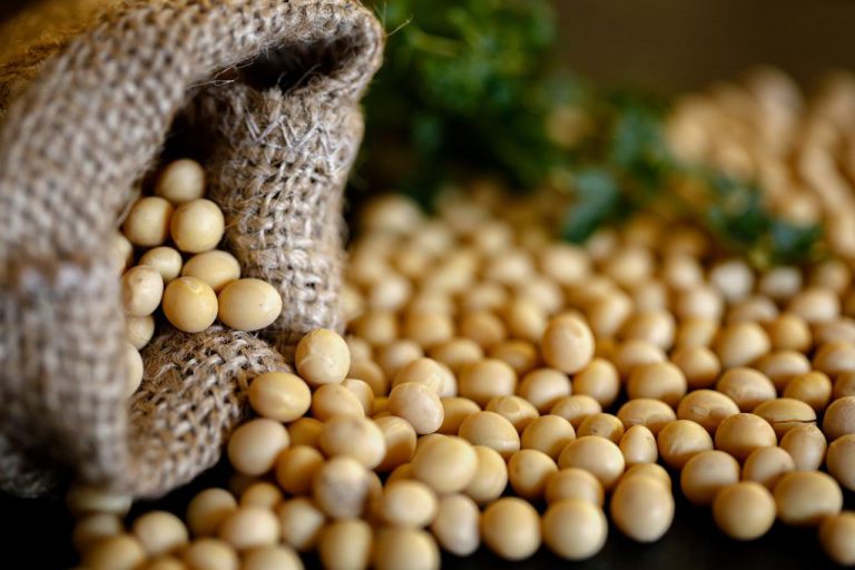 4 Important Benefits Of Soybeans